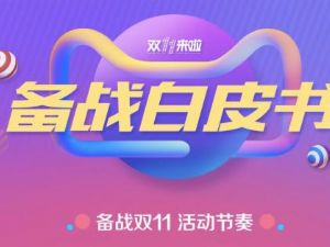 阿里啟動(dòng)雙11商家保障會(huì) 天貓備戰(zhàn)白皮書(shū)出爐