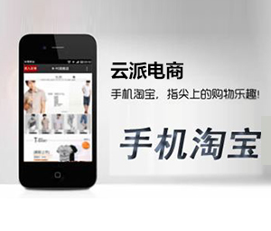 2018手淘?xún)?nèi)容營(yíng)銷(xiāo)之內(nèi)容人群